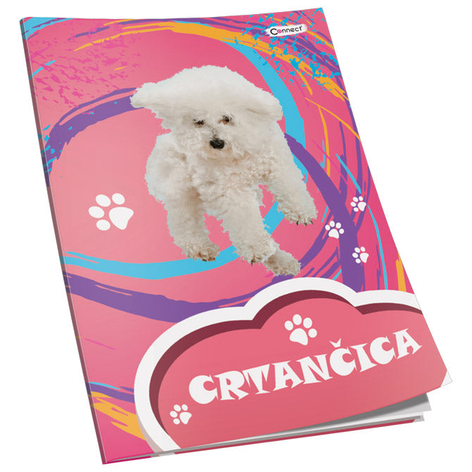 OBRAZAC ŠKOLSKI CRTANČICA ZA 1RAZRED PREMIUM CONNECT GIRL