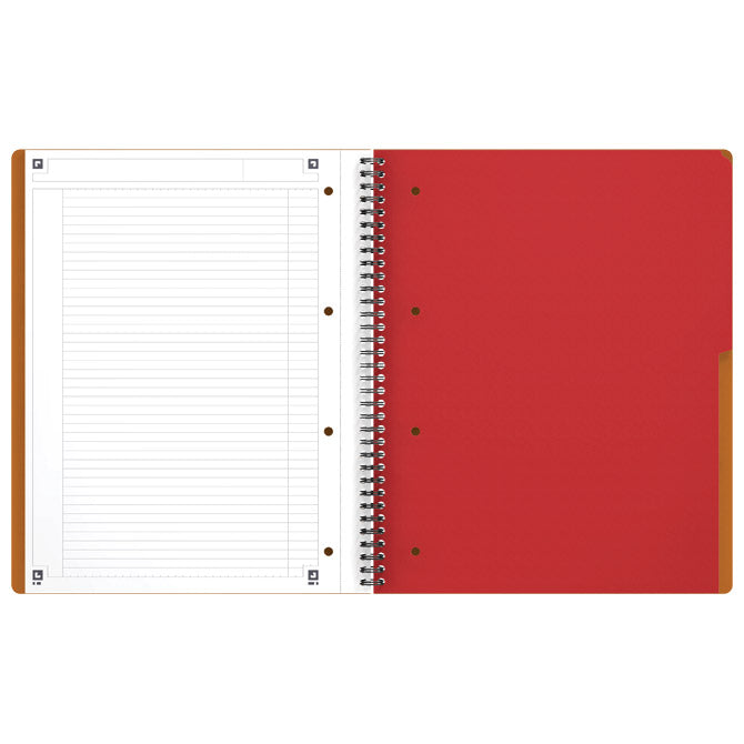 BLOK KOLEGIJ A4 CRTE 80L PERFORACIJA PLUS 4RUPE ACTIVEBOOK OXFORD 100102994