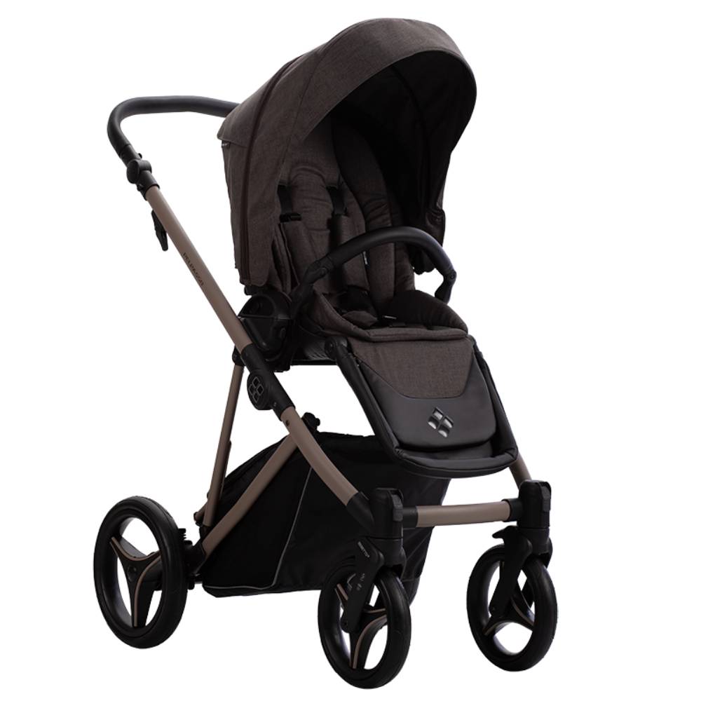 Dječja kolica Bebetto Pelpasso 03/Cashmere 2u1