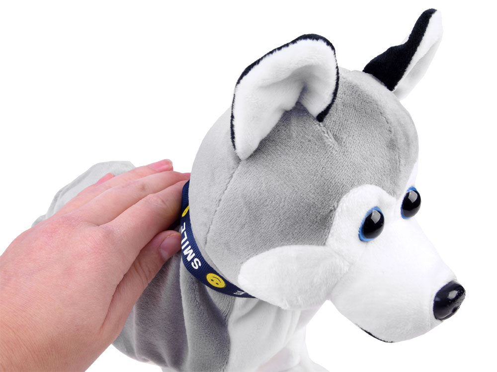 Interaktivni plišani Husky – na dodir
