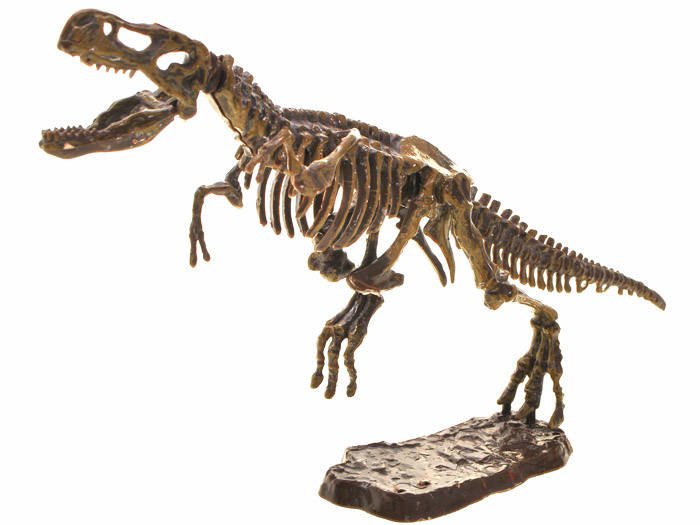Set za otkopavanje skeleta T-Rexa