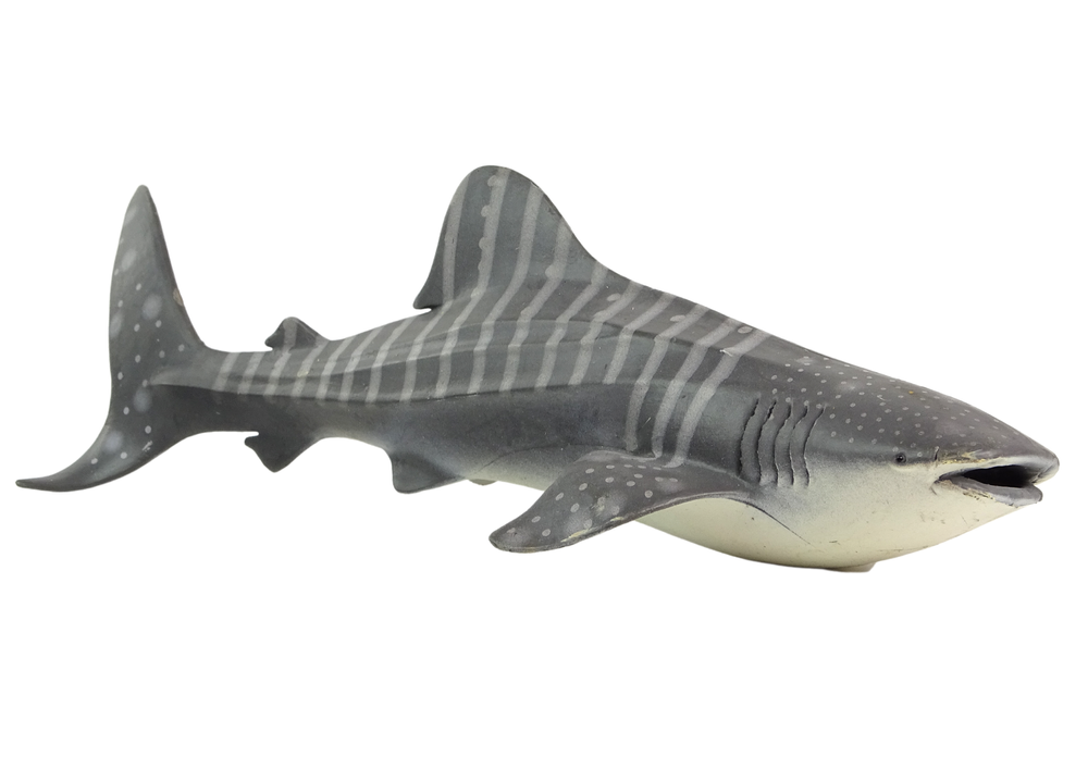 Kolekcionarska figurica Sea World - Morski pas