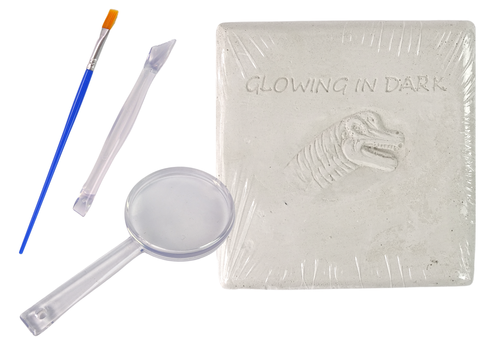 Archaeology Excavation Kit Dinosaur Skeleton 3D Brachiosaurus Hologram