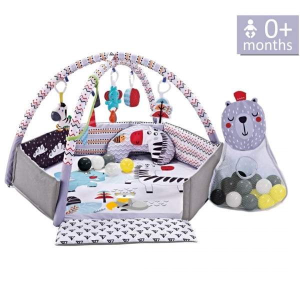 BEBESTARS Baba edzőterem ZEBRA