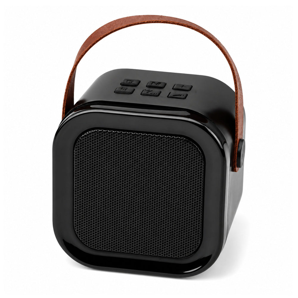 Karaoke Set Bluetooth Speaker Two Microphones LED Lights Black