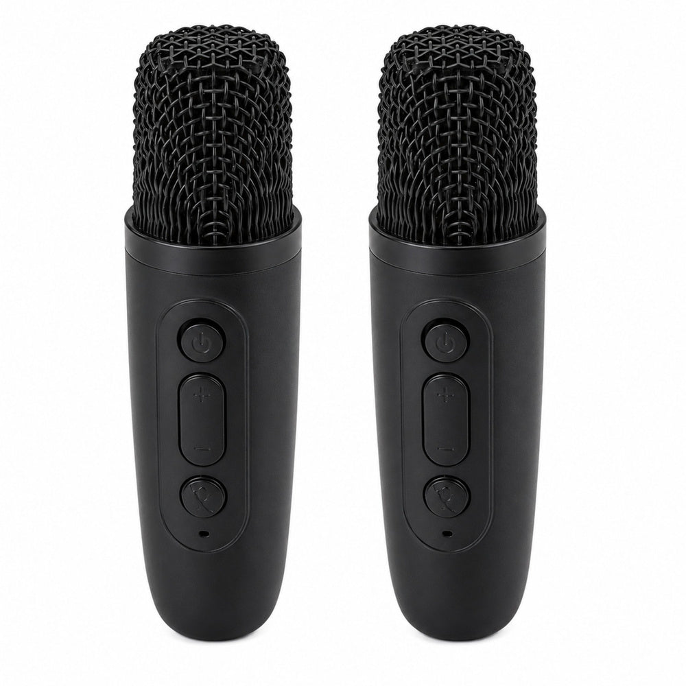 Karaoke Set Bluetooth Speaker Two Microphones LED Lights Black