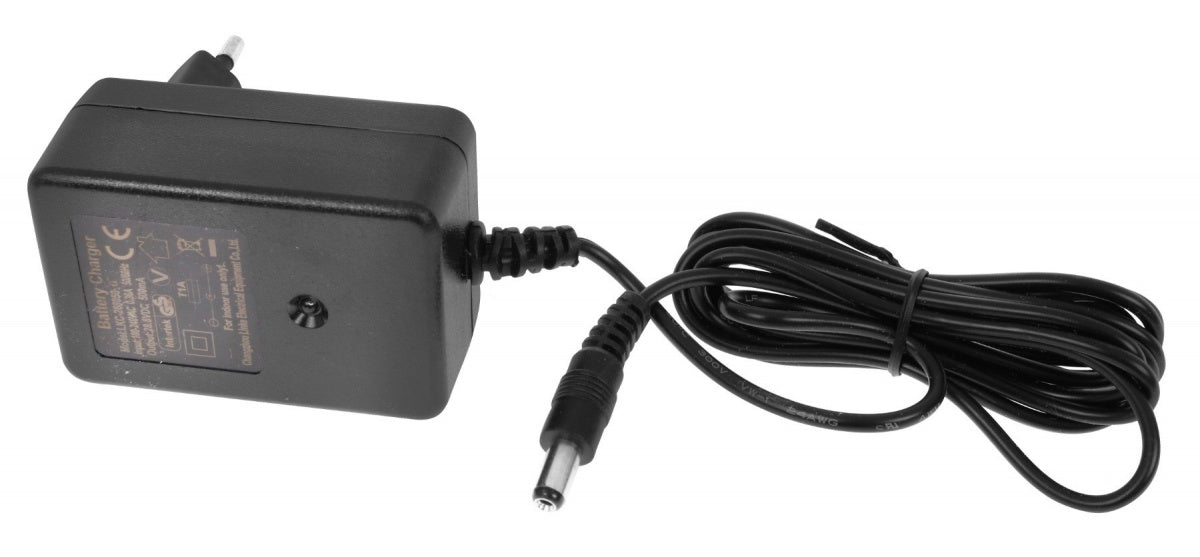Charger with light 24V500MA