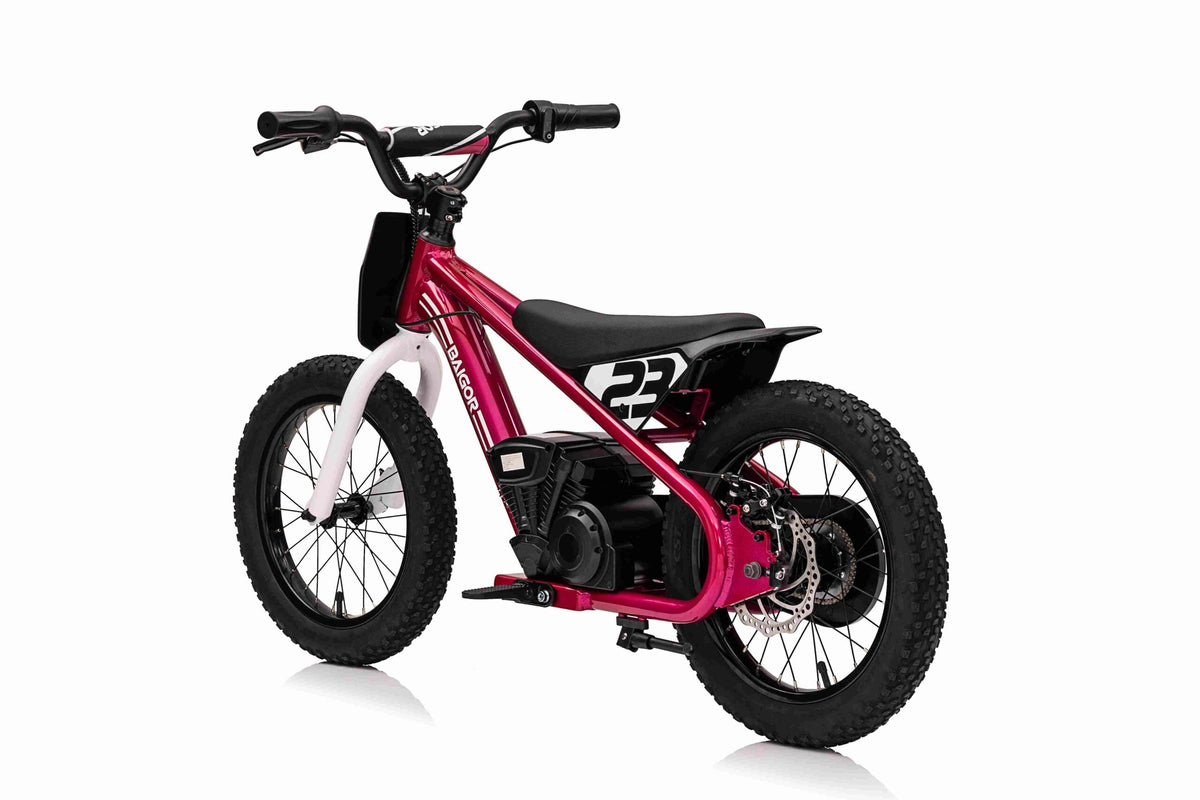 Motor na akumulator BAIGOR 23 PRO - Rozi