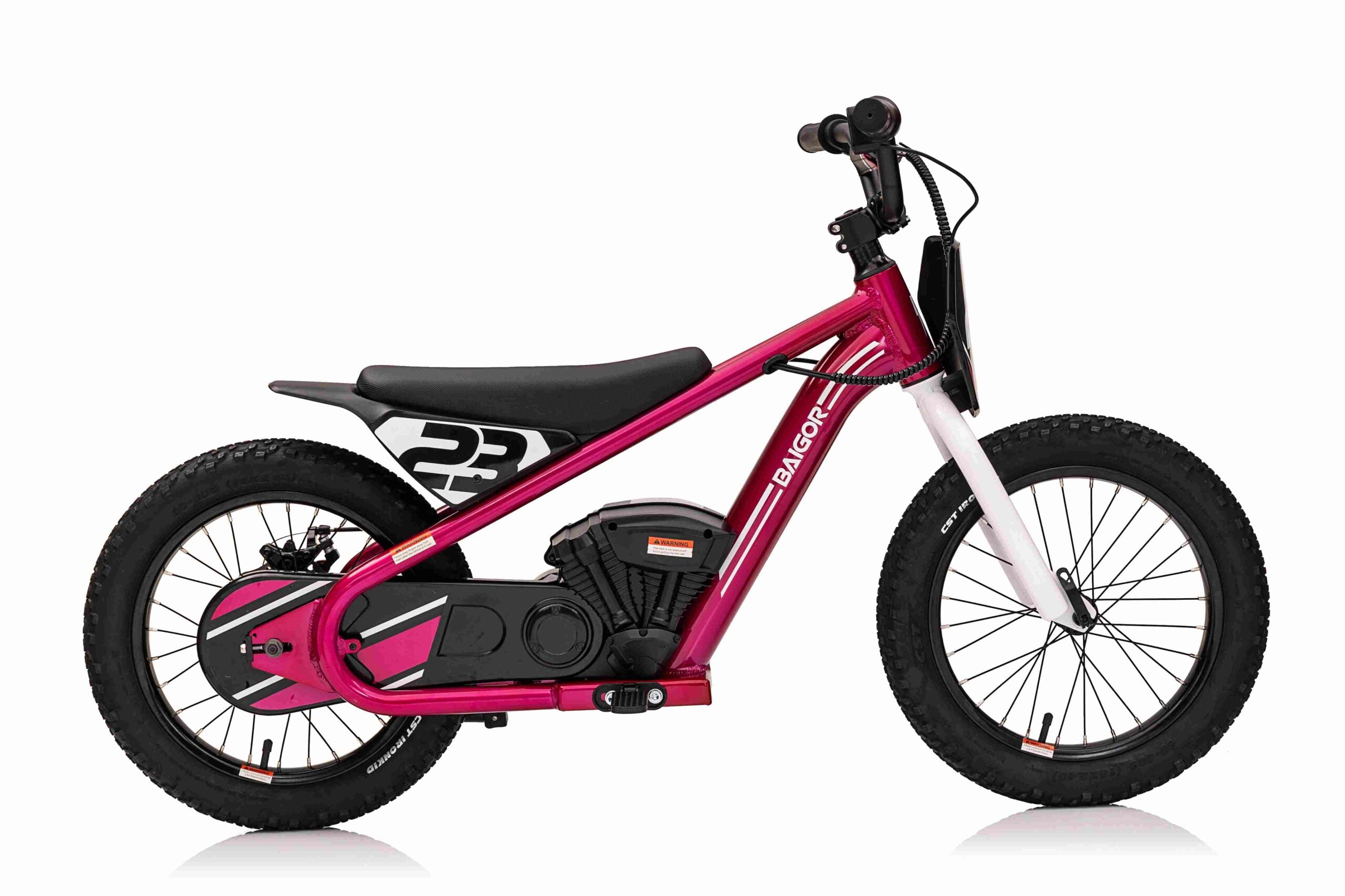 Motor na akumulator BAIGOR 23 PRO - rozi