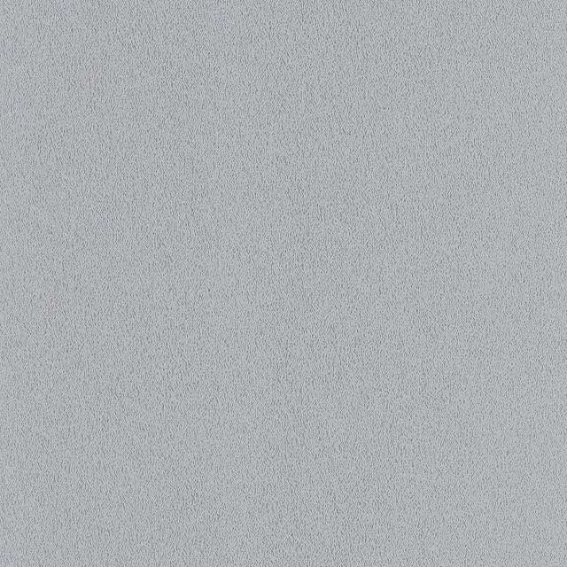 Metallic Silver Grey 5881 PE