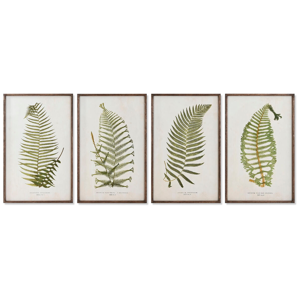 Slika Home ESPRIT Kristal Jela 45 x 2,5 x 70 cm
