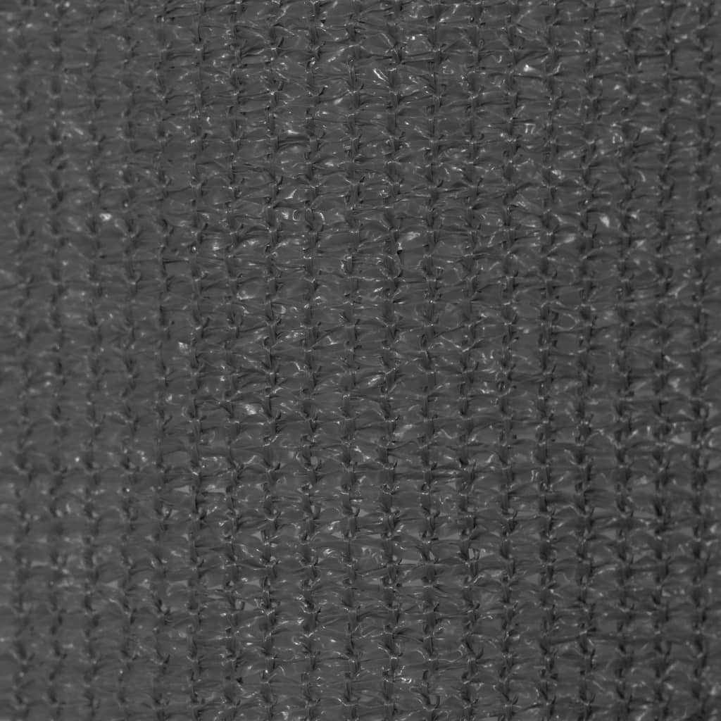 Vanjsko Sjenilo za Zatamnjivanje 100x230 cm Antracit