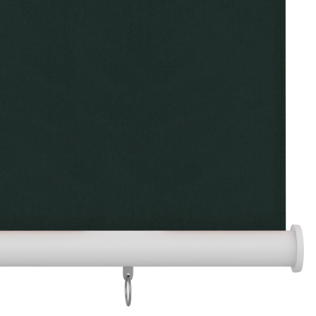 Vanjska roleta za zamračivanje 220 x 140 cm tamnozelena HDPE