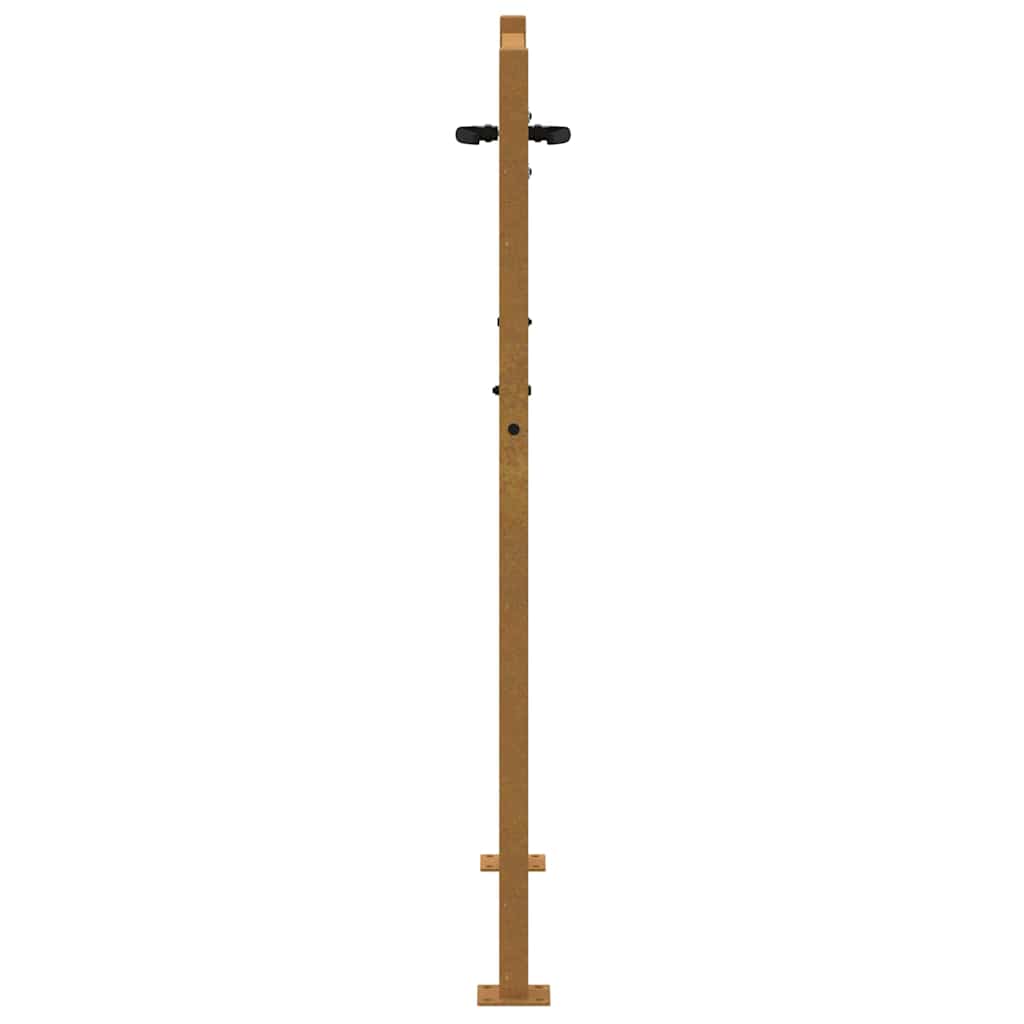Vrtna vrata 100x150 cm Corten čelik