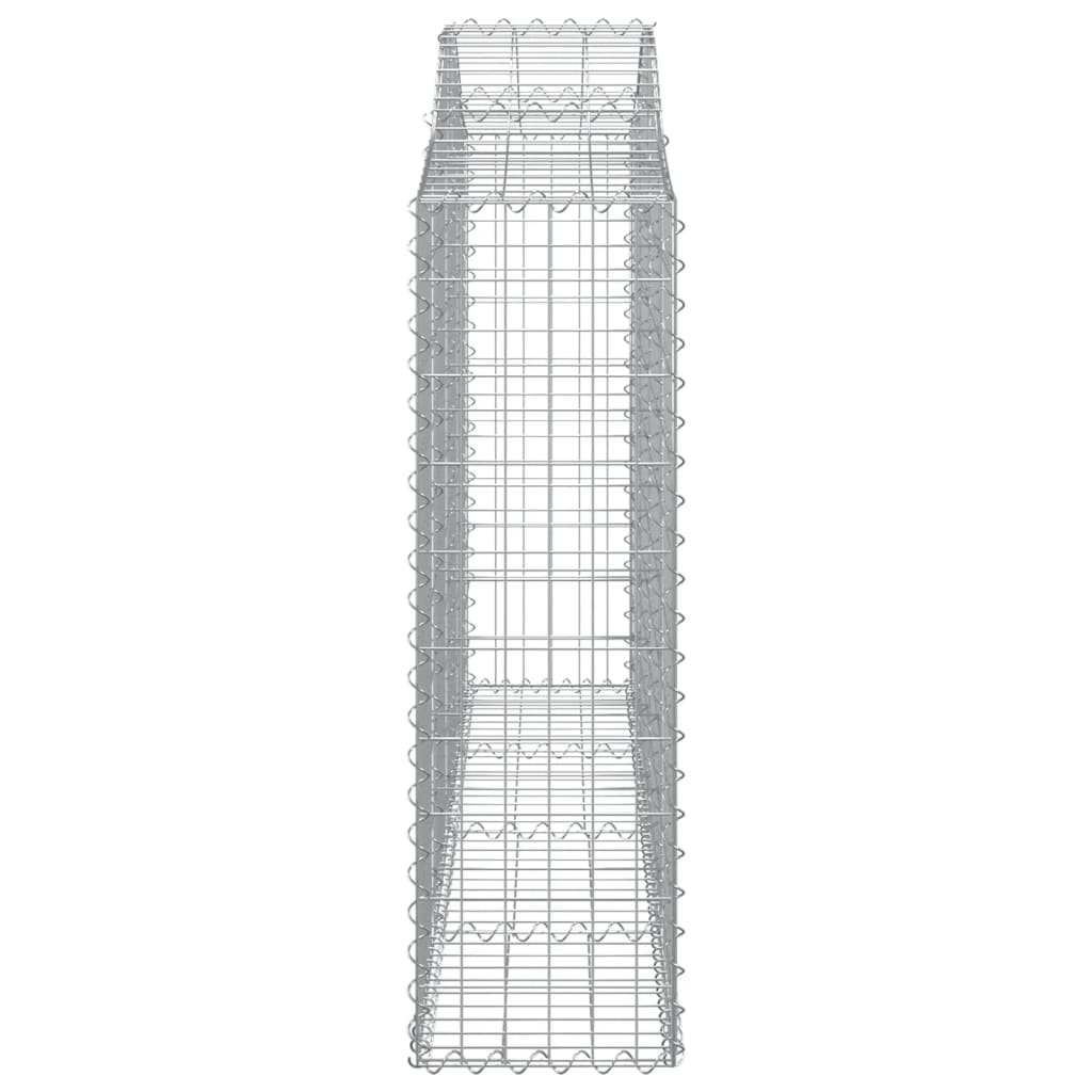Lučne gabionske košare 2 kom 200x30x100/120cm pocinčano željezo