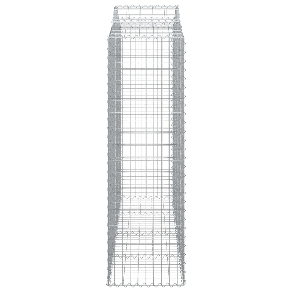 Lučne gabionske košare 20kom 200x50x160/180cm pocinčano željezo