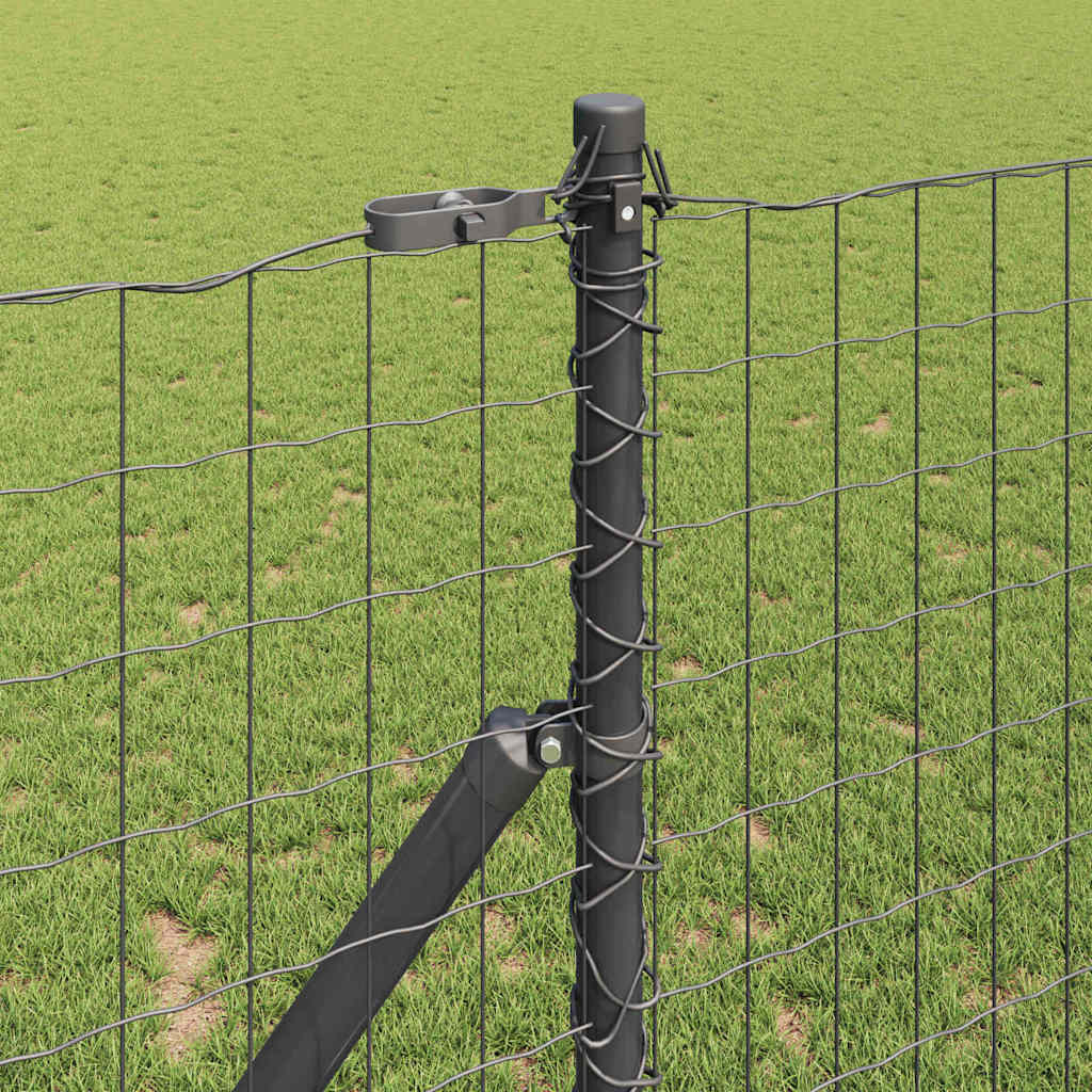 Temeljna zavarena žičana ograda 25 x 1 m (Š x V)