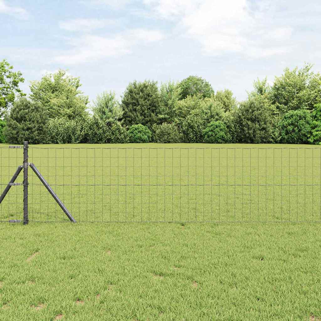 Temeljna zavarena žičana ograda 10 x 0,8 m (Š x V)
