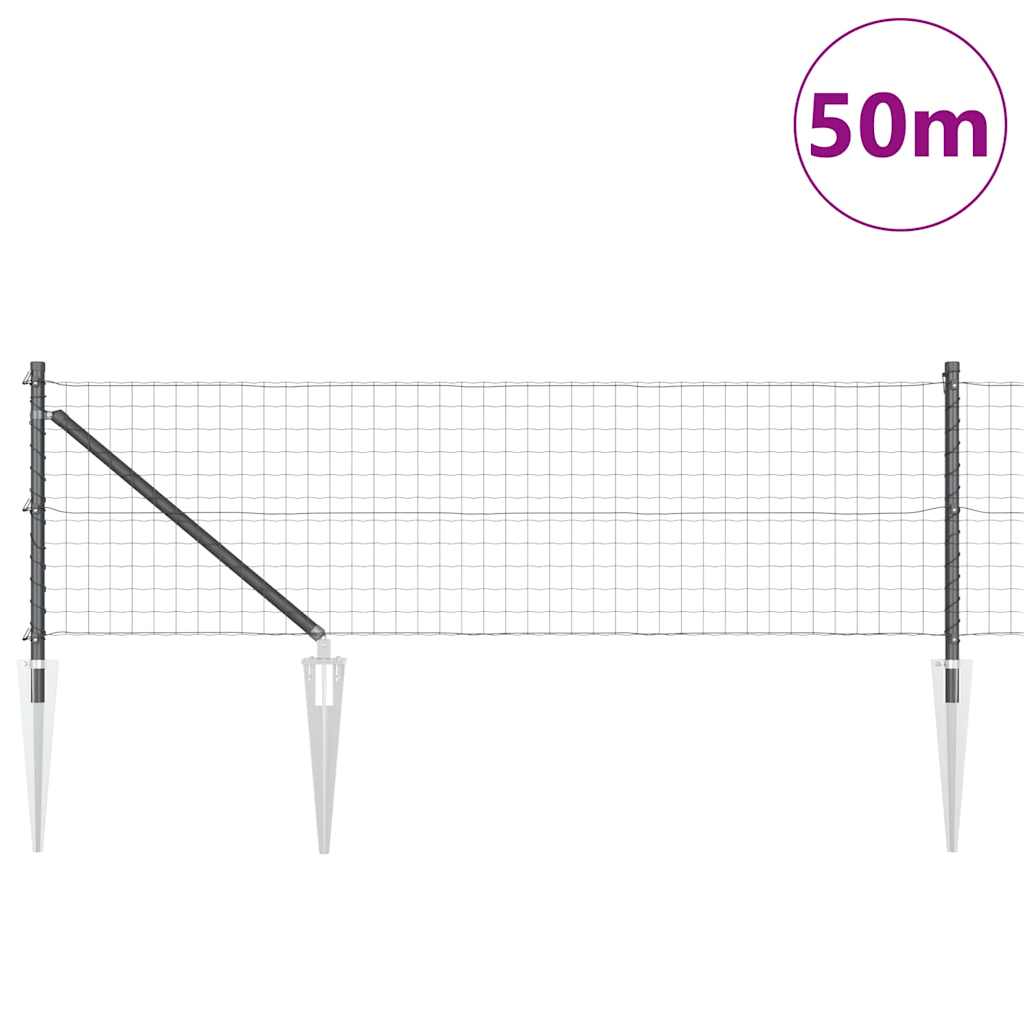 Zavareno žičano ograđivanje s bodljama 50 x 0,6 m (Š x V)