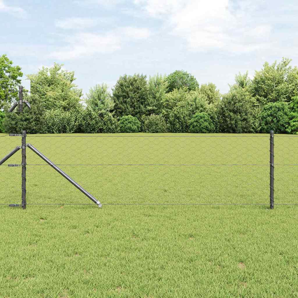 Zavareno žičano ograđivanje s bodljama 100 x 0,6 m (Š x V)