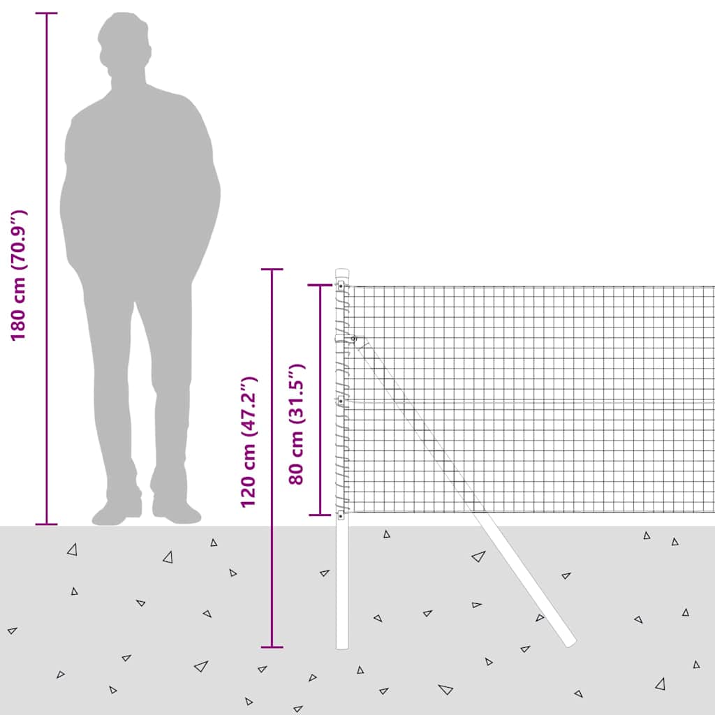 Temeljna zavarena žičana ograda 50 x 0,8 m Srebrna Mreža
