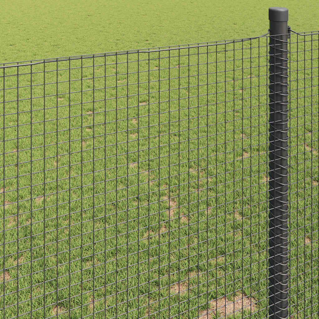 Zavarena žičana ograda 10000 x 50 cm Siva