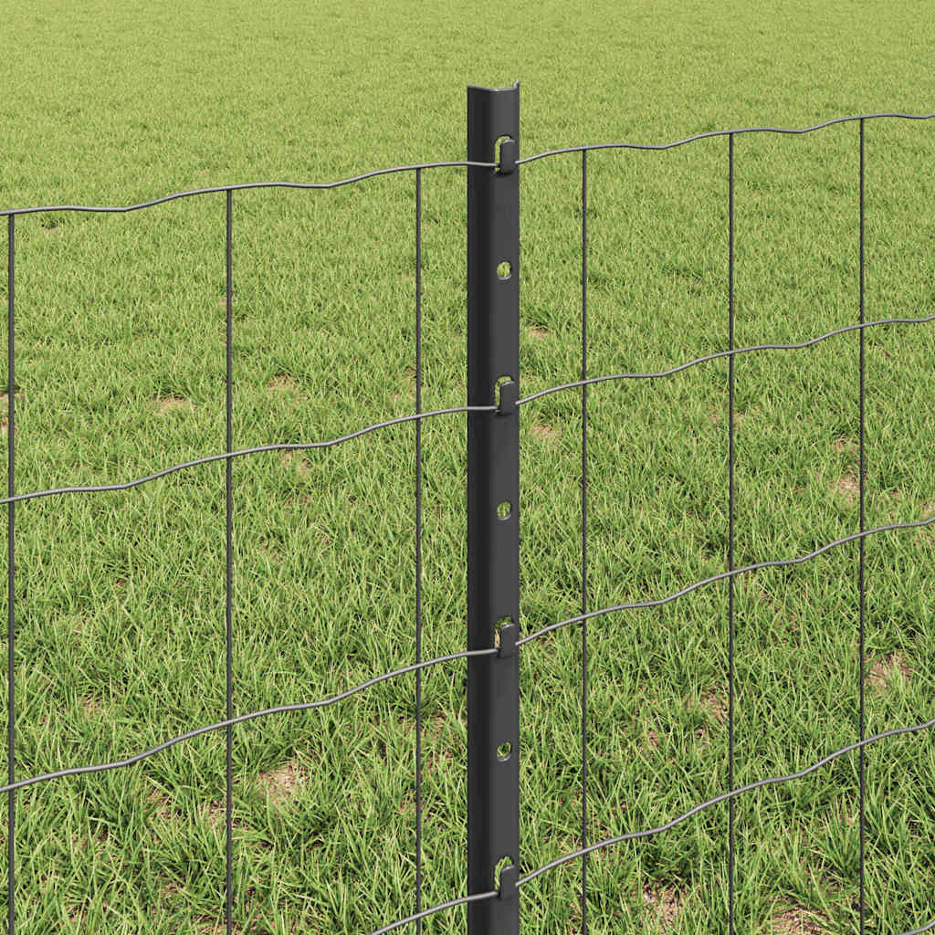 Zavarena žičana ograda 10 x 0,6 m (Š x V) Čelik premazan PVC-om
