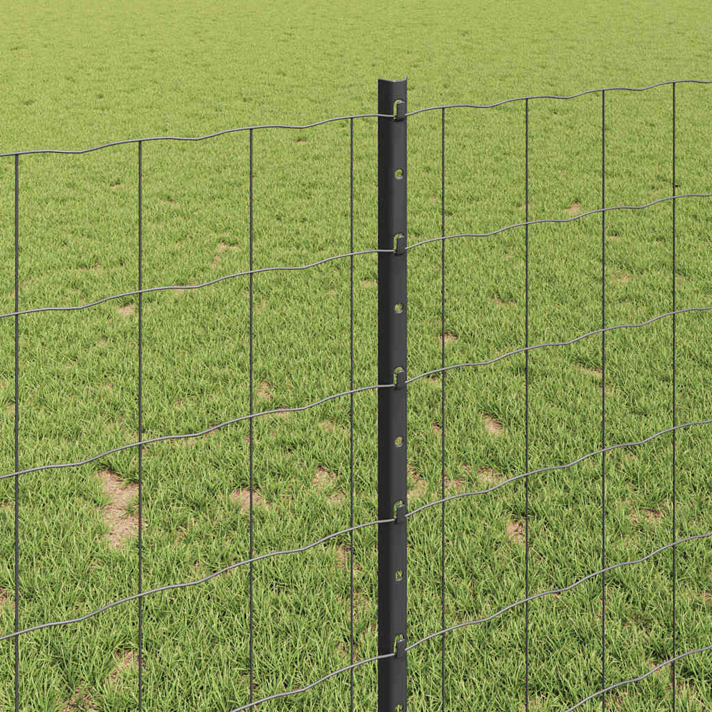 Zavarena žičana ograda 10 x 1 m (Š x V) Čelik premazan PVC-om