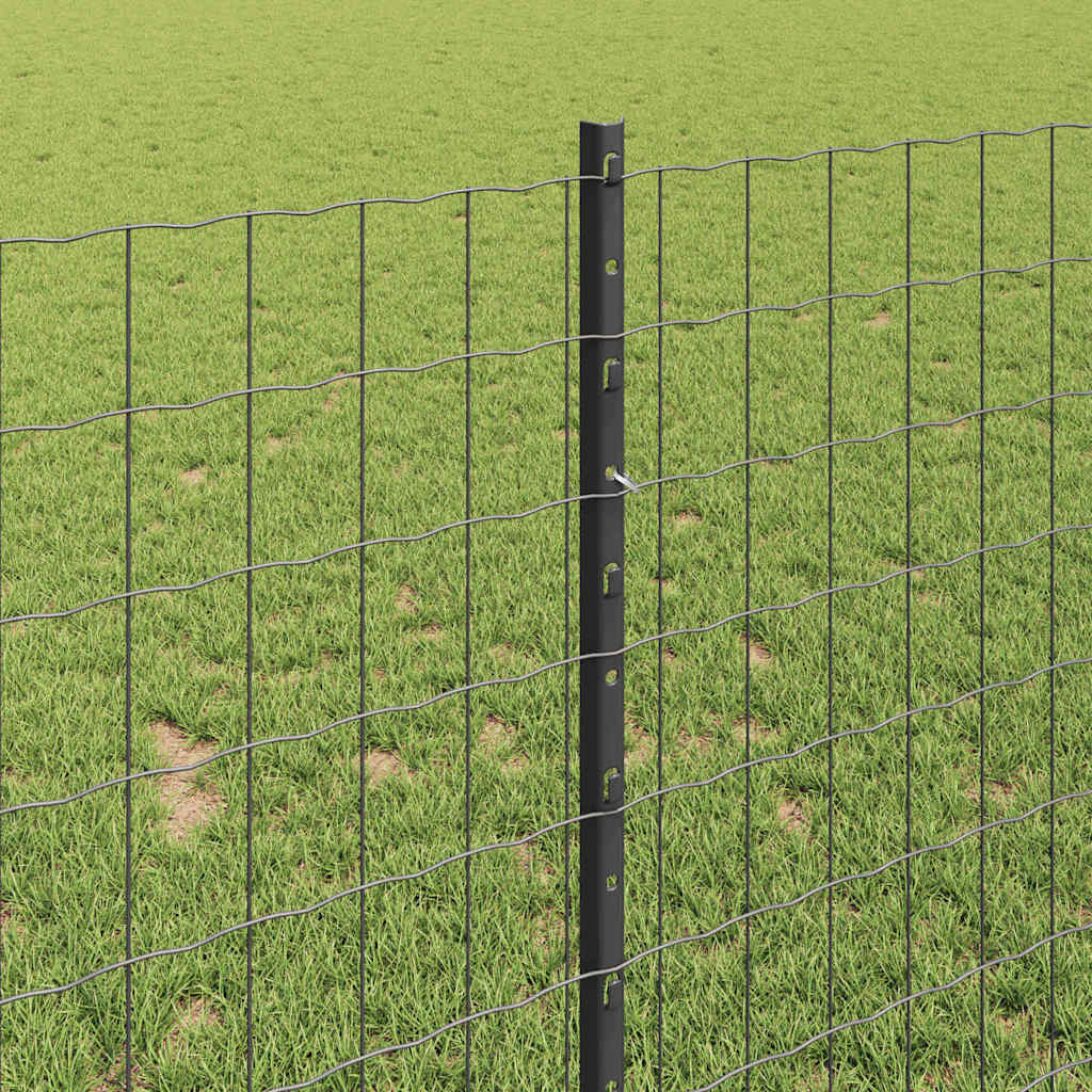 Zavarena žičana ograda 25 x 1 m (Š x V) Čelik premazan PVC-om