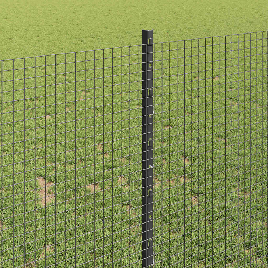 Zavarena žičana ograda s postom 10 x 1 m (Š x V)
