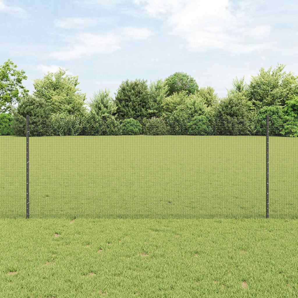 Zavarena žičana ograda s postom 100 x 1 m Čelik premazan PVC-om