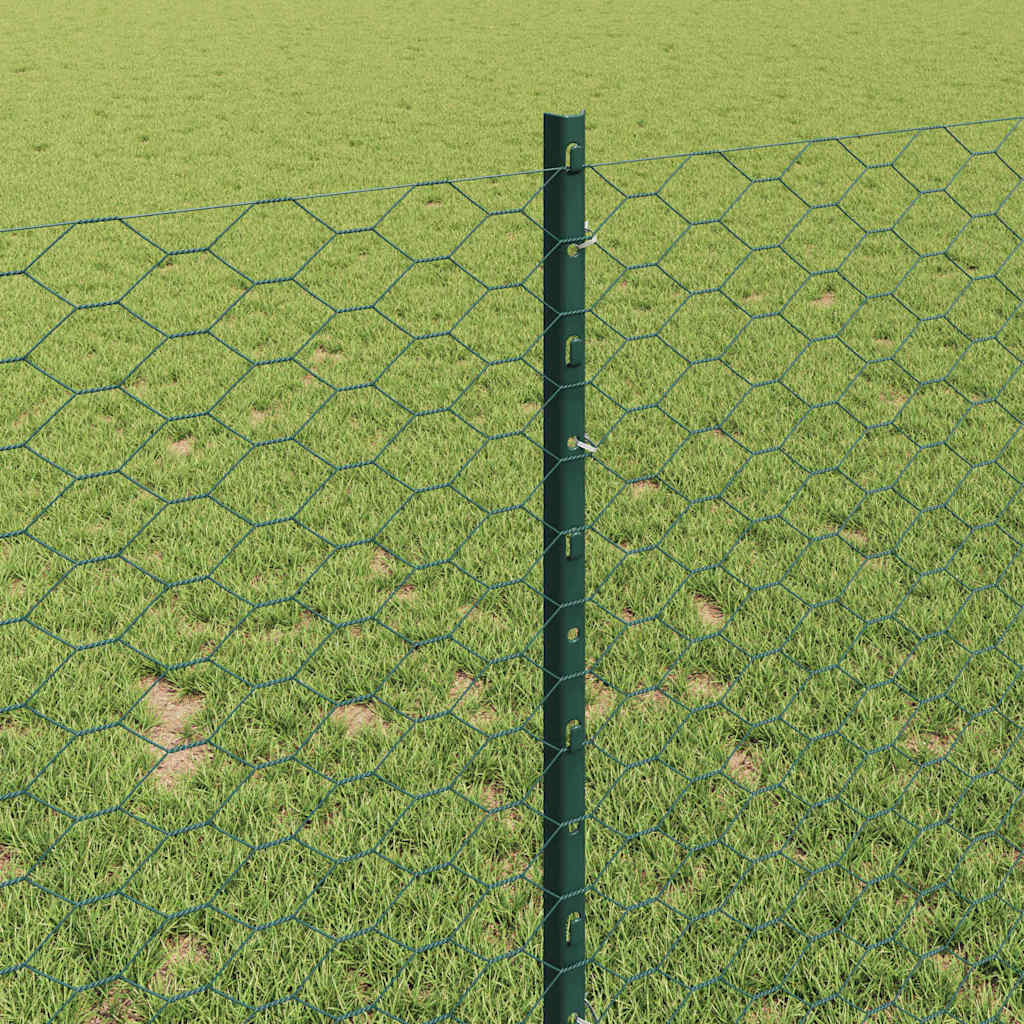 Zavarena žičana ograda 100 x 1 m (Š x V) Čelik premazan PVC-om
