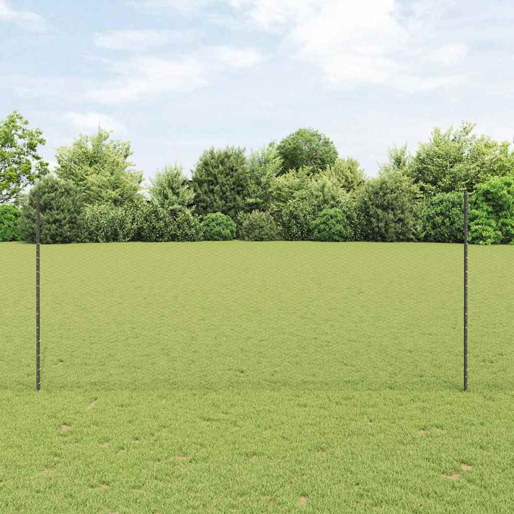 Zavarena žičana ograda 10 x 1,4 m (Š x V) Čelik premazan PVC-om