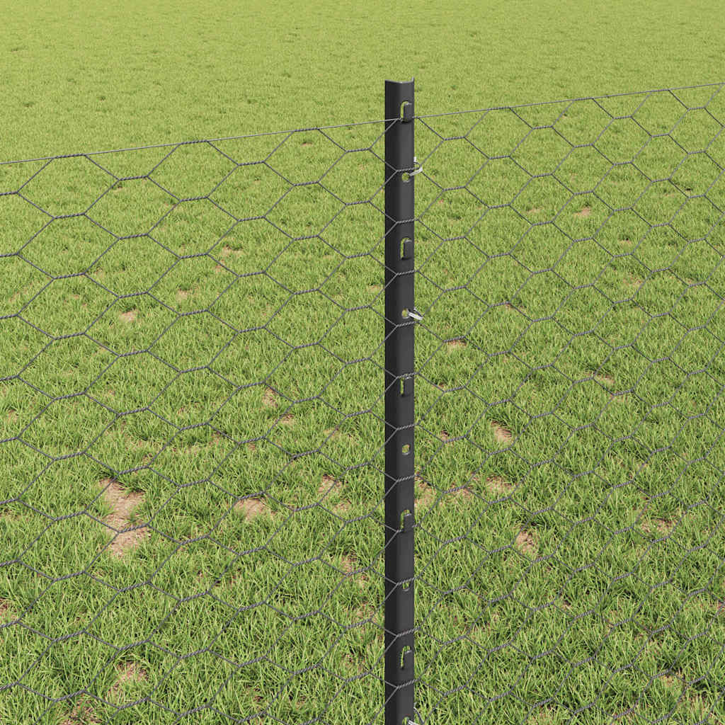 Zavarena žičana ograda 50 x 1 m (Š x V) Čelik premazan PVC-om
