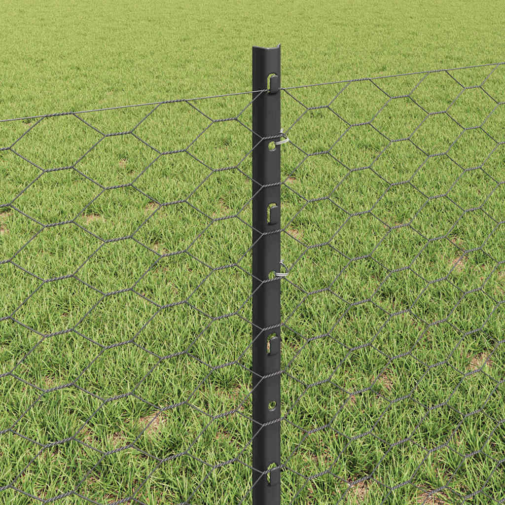 Zavarena žičana ograda 100 x 0,6 m (Š x V)