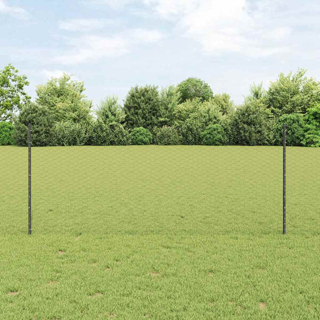 Zavarena žičana ograda 100 x 1 m (Š x V) Čelik premazan PVC-om