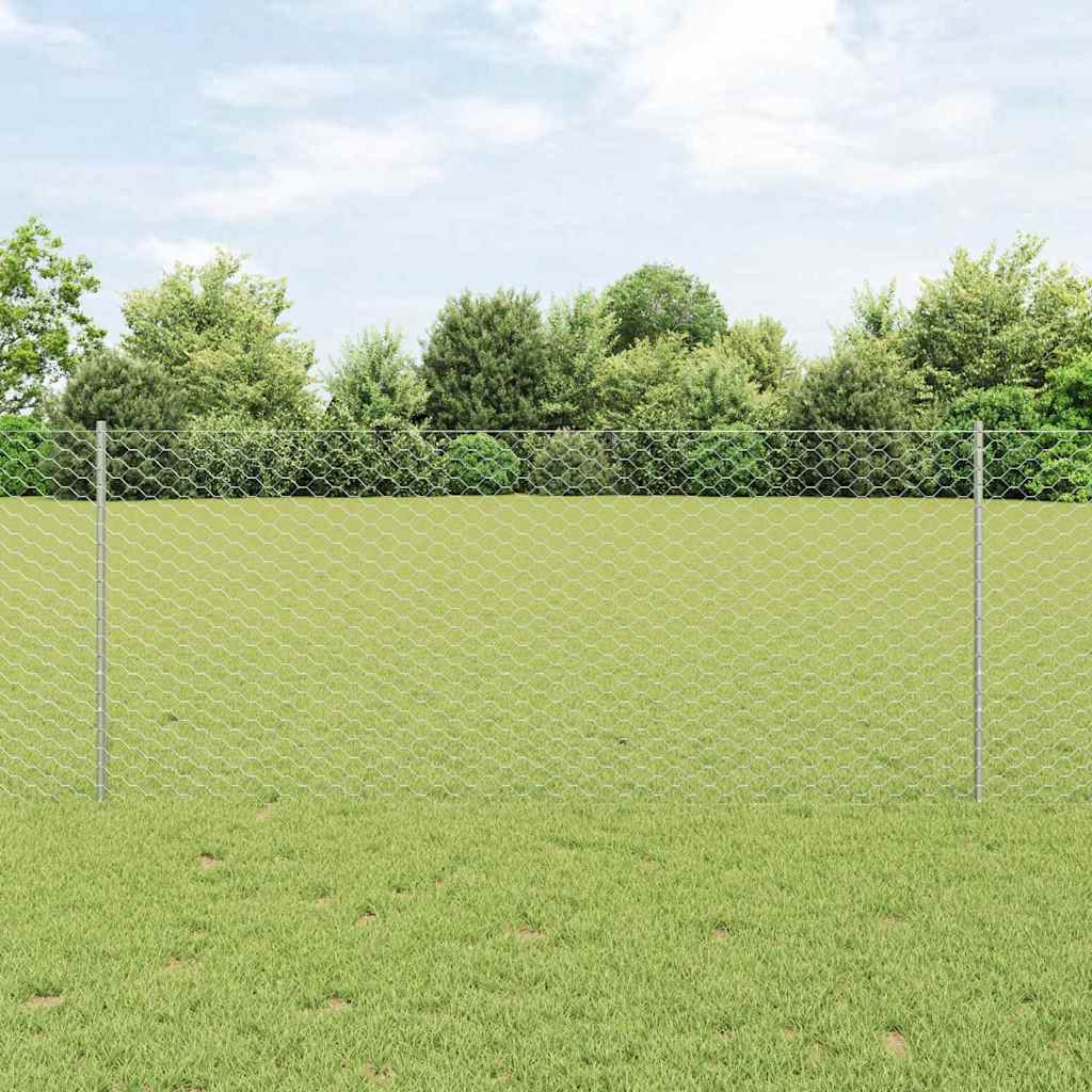 Zavarena žičana ograda 10 x 1 m (Š x V) Vruće pocinčani čelik
