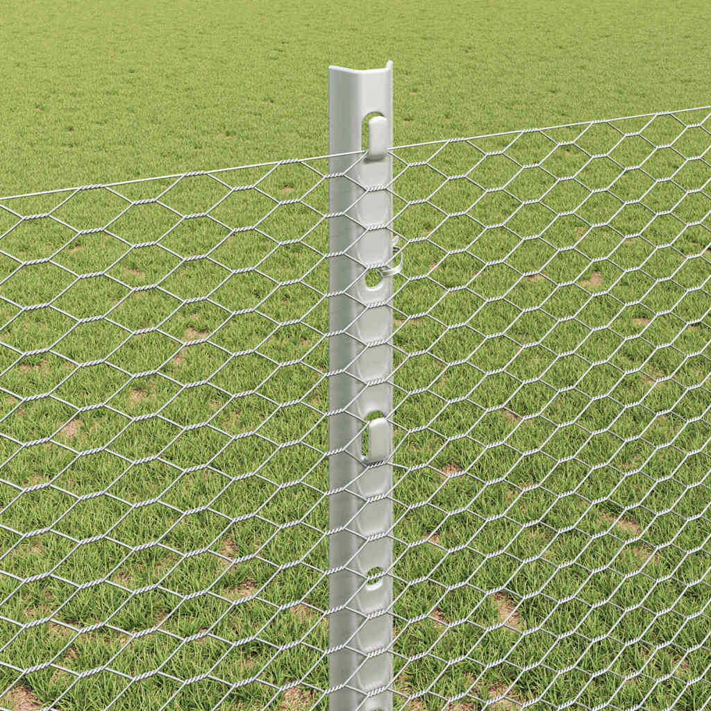 Zavarena žičana ograda 10 x 1,2 m (Š x V) Vruće pocinčani čelik