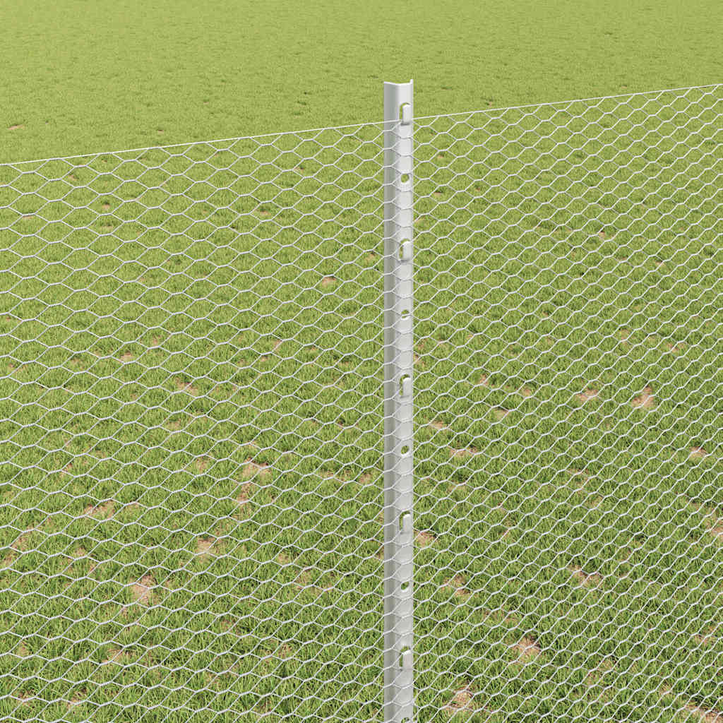 Zavarena žičana ograda 10 x 1,6 m (Š x V) Vruće pocinčani čelik
