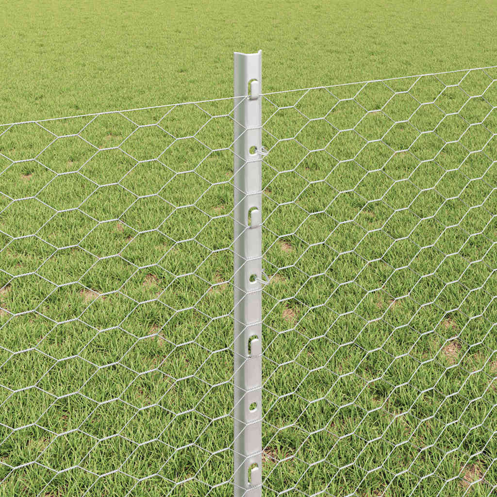 Zavarena žičana ograda 50 x 0,8 m (Š x V) Vruće pocinčani čelik