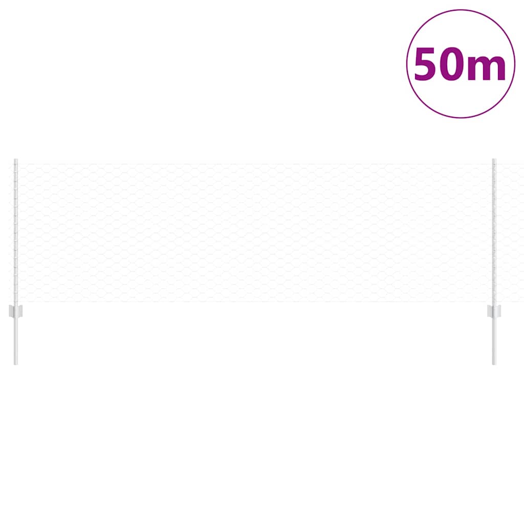 Zavarena žičana ograda 50 x 0,8 m (Š x V) Vruće pocinčani čelik