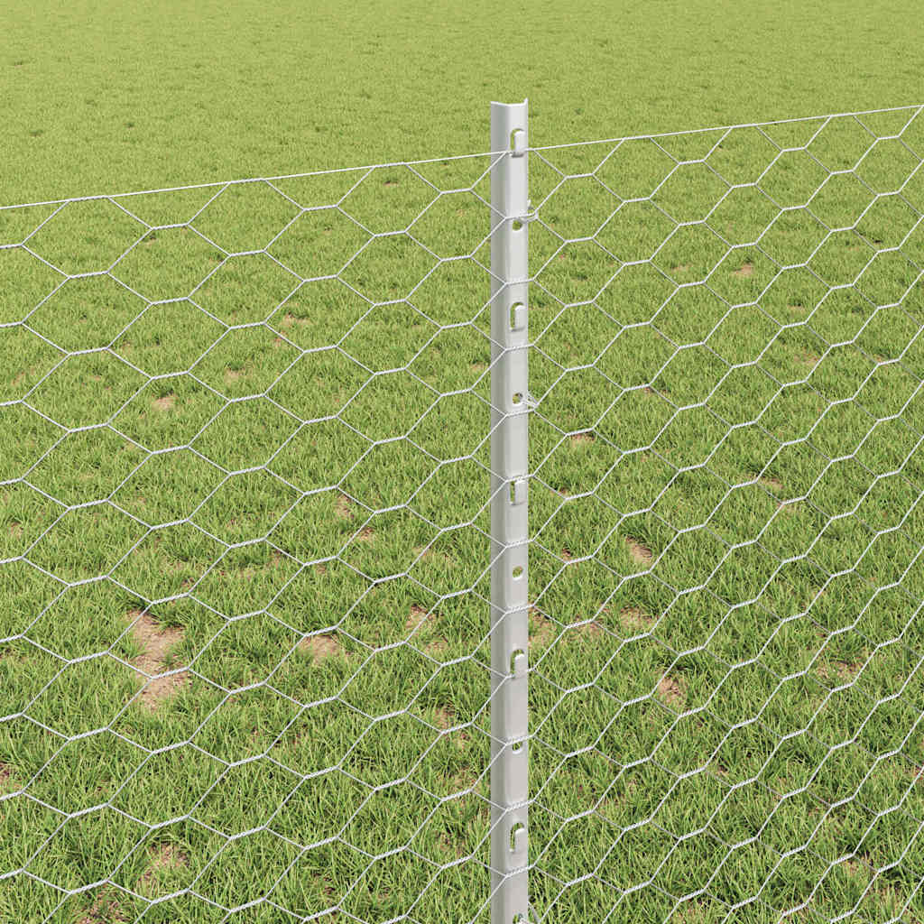 Zavarena žičana ograda 50 x 1 m (Š x V) Vruće pocinčani čelik