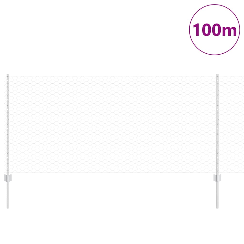 Zavarena žičana ograda 100 x 1 m (Š x V) Vruće pocinčani čelik
