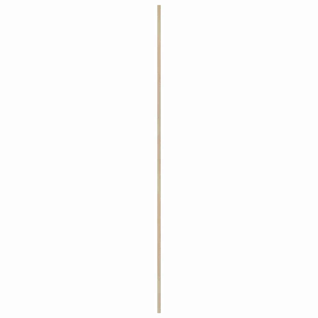 Ormarna vrata s vratima 2 pcs Prirodna 201 x 2,1 x 49,5 cm