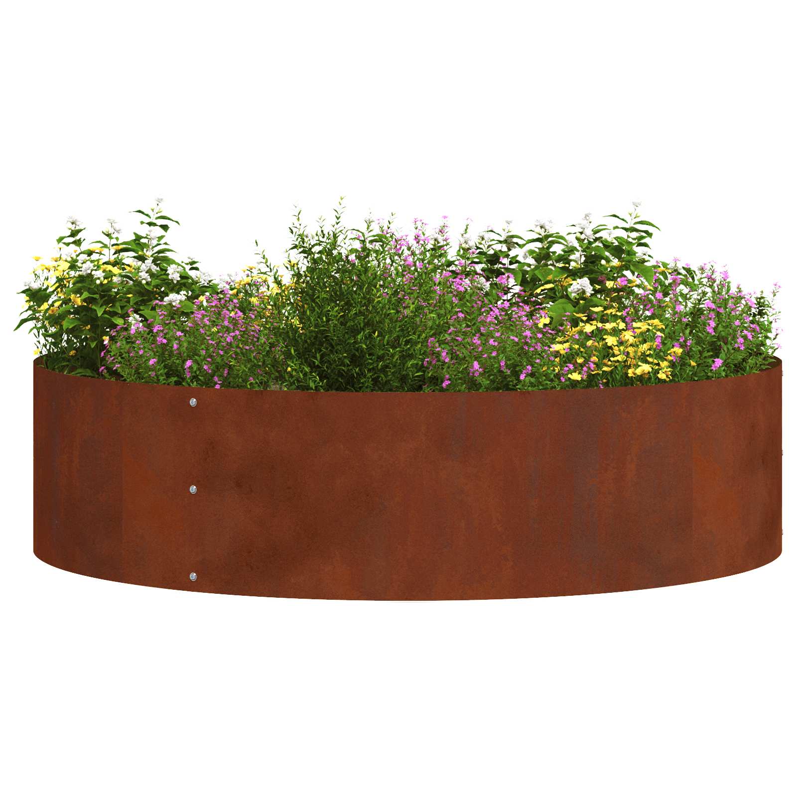 Prsten za saksiju 5 pcs Smeđa 80 x 80 x 20 cm