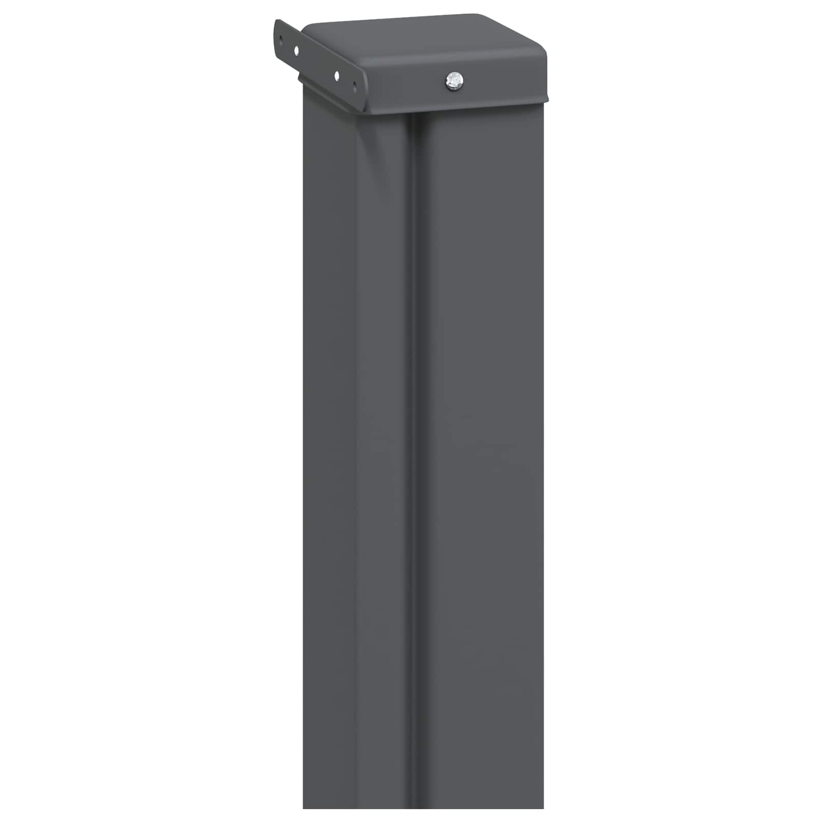 Retraktabilna bočna tende 300 x 100 cm Poliester Pravokutni