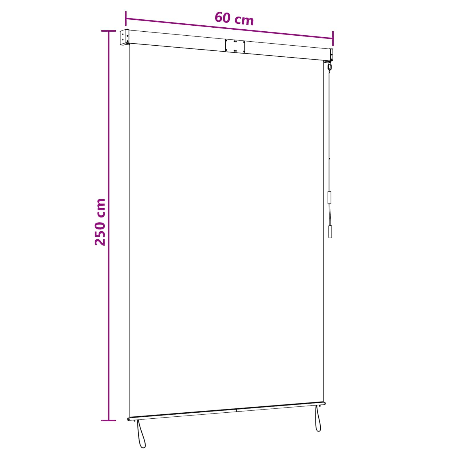 Rolo zavjesa Svjetlosiva 60 x 250 cm Tkanina i aluminij