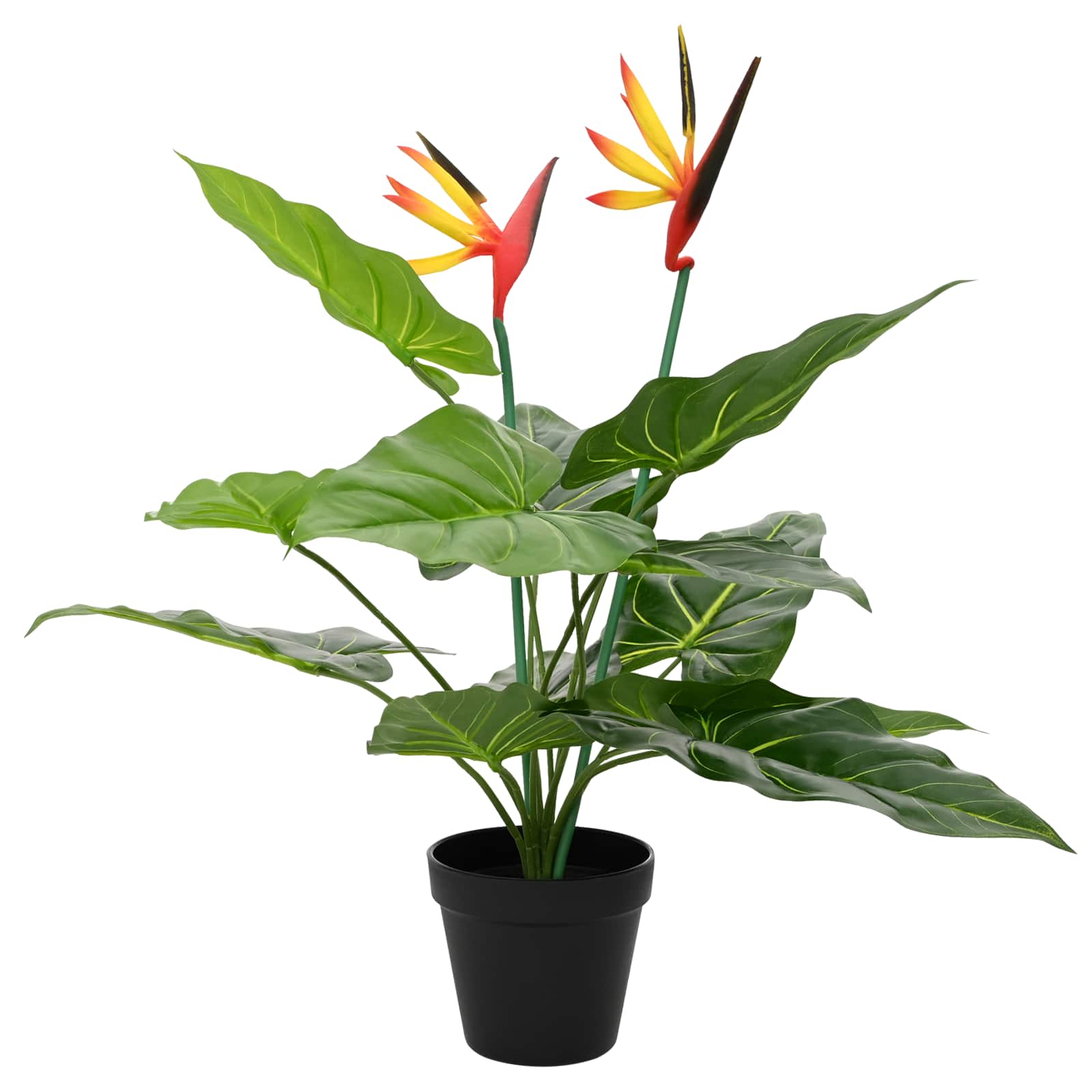 Umjetna Strelitzia Biljka Zelena 65 x 13 x 55 cm