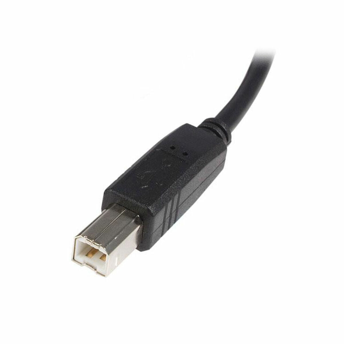 Kabel USB A u USB B Startech USB2HAB5M Crna