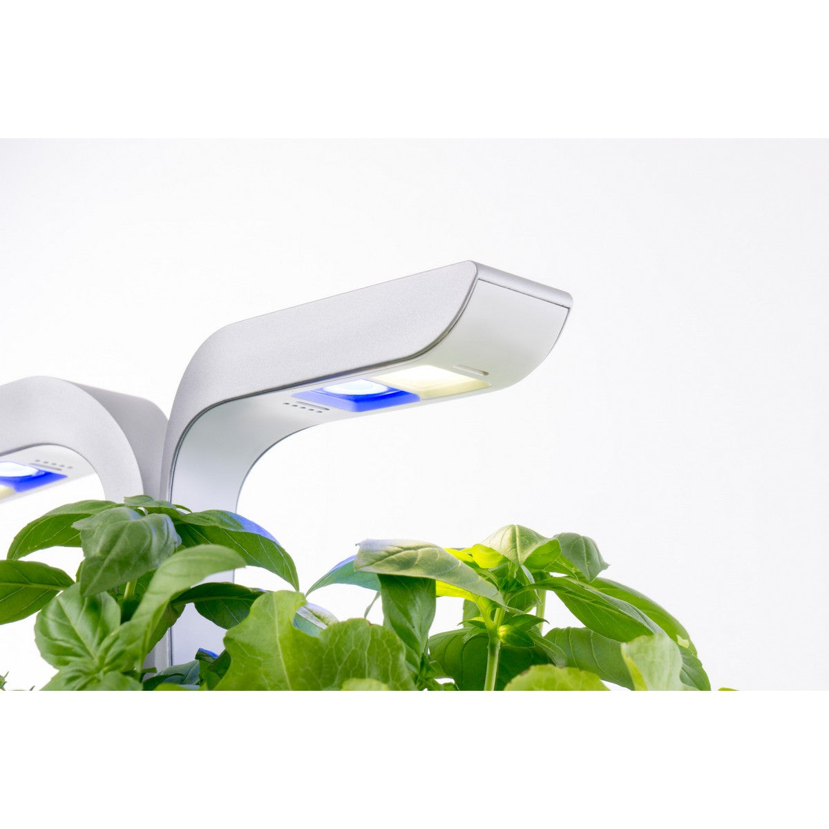Veritable® SMART Arctic White Kučni Vrt